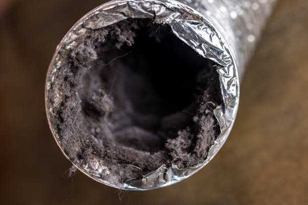 Best Affordable Duct Cleaning Services  in Patterson Tract, CA